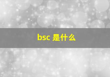 bsc 是什么